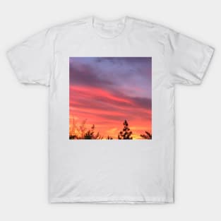 Prism Violet, Royal Blue, Deep Sea Coral Pink And Gold Clouds In The Sunset Sky T-Shirt